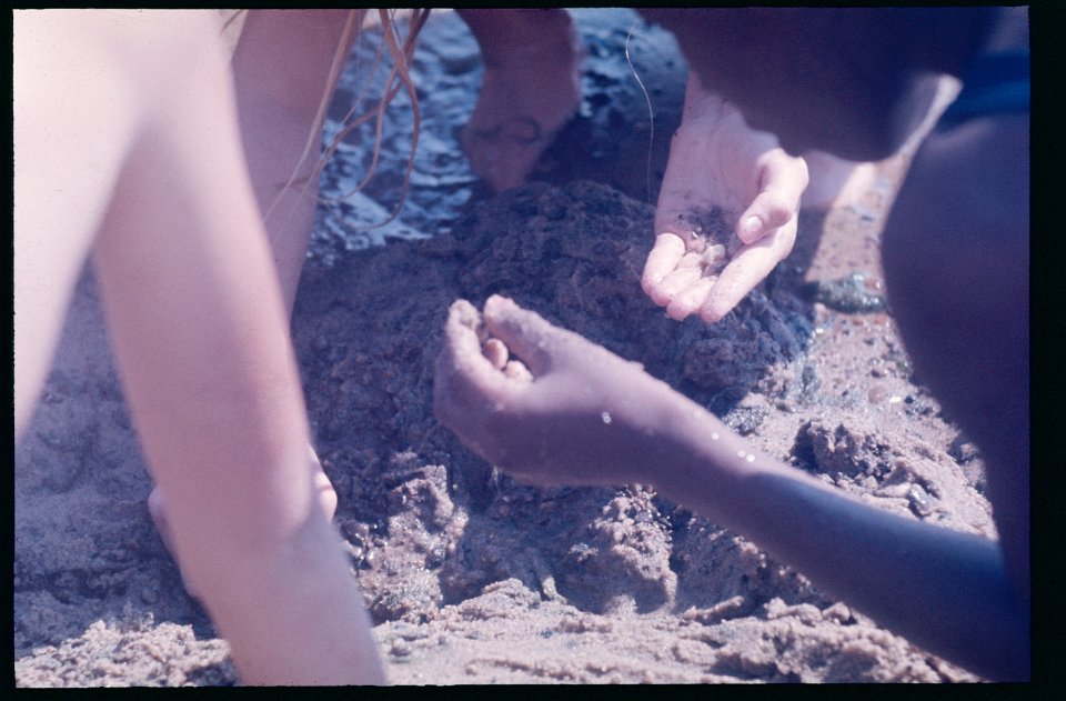 Juniors searching in the sand 1975